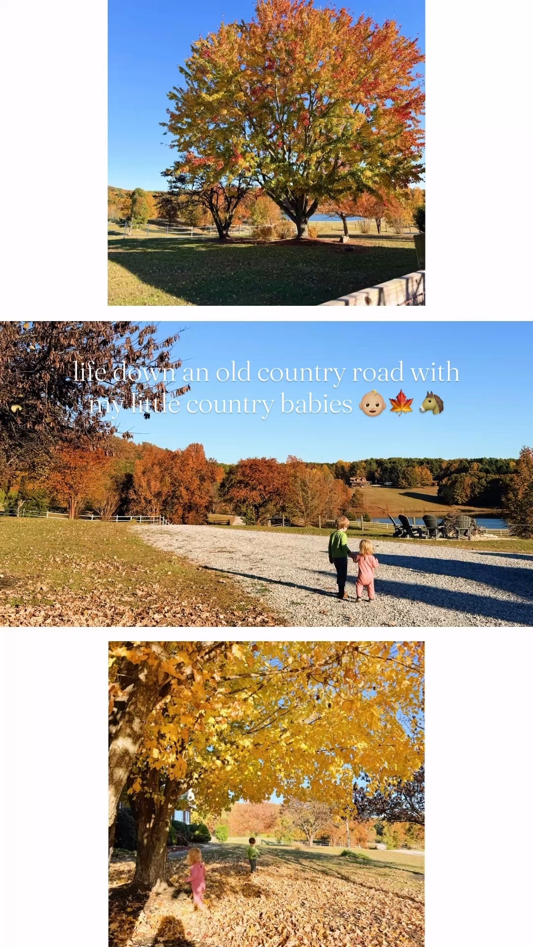 Just the dreamiest autumn afternoon out in the country 🛻 with these little cowboys 🤠 of ours 👶🏼🍁🐴🌾🚜🍂 - God’s Creation will truly just take your breath away!!! 🌳🧡✨ Today just felt like such a dream 💭 come true and my heart is truly just overflowing 🥹🫶🏽 …. all I can say is, God’s plans are always much much better than ours!! 🤭💭🏡🌳 #takemehomecountryroads #downanolddirtroad #godsplansarebetterthanmine #fallinthecountry #immeasurablymore #carolinafall #judsonsdreamcometrue #outinthecountry #raisinglittlecountryboys #novemberdays #godsizeddreams #chaseyourdreamsandliveonpurpose 

| Motherhood | Country Living | Homemaker | Stay at Home Mom | Joyful Motherhood | Farm Sweet Farm | Raising Country Babies | Faith | Baby and Toddler Days | Boy Mama x 2 | SAHM | These are the Days | Life with a Baby and Toddler | Full Hands Fuller Hearts | Fall with Littles | November Memories 

…

#emilysayswes #judsoncarpentermabry #levirhettmabry #familyoffour #mommyblogger #stayathomemommy #boymamax2 #mommyblogger #sahm #mamaoftwo #stayathomemom #fallfun #novembermemories #LTKFall #LTKfamily #LTKBaby @shop.ltk

#LTKFamily #LTKSeasonal #LTKHome