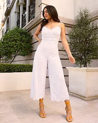 Lace Eyelet V-neck Jumpsuit | Express