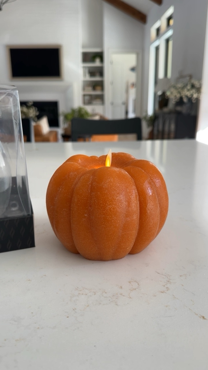These are my favorite candles and I’m so excited that they’re online. Typically, I can only find them in store for this low price.  They have this pumpkin candle, Christmas tree, pinecones, regular candles, so many options!  I’m going to order a couple of the others for Christmas.

#LTKSeasonal #LTKHome #LTKVideo