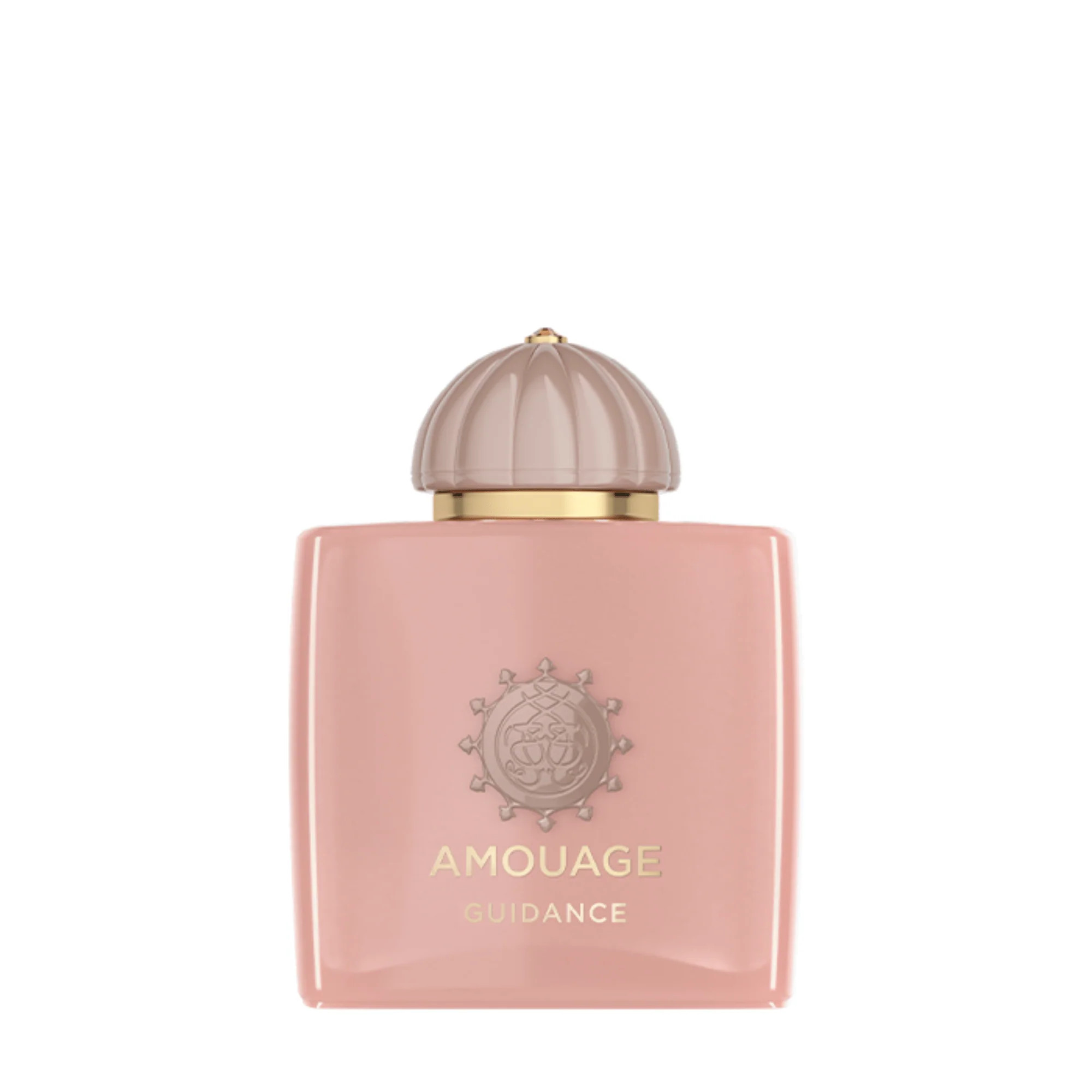 Amouage Guidance EDP (100 ml) #10086462 | Smallflower
