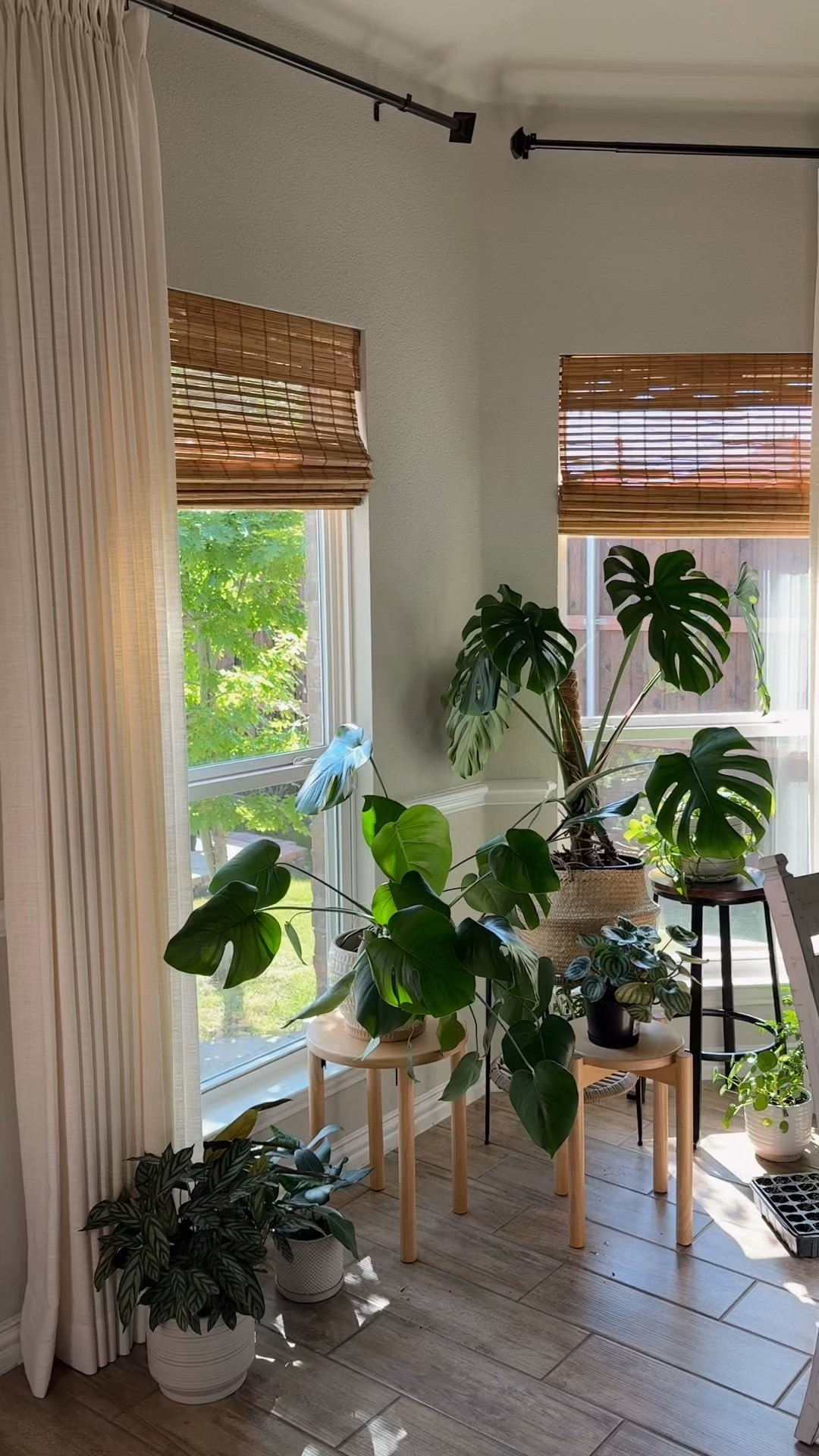 Taking care of my plants 

Interior plants 
Home decor

#LTKHome #LTKmorningroutine #LTKmomlife