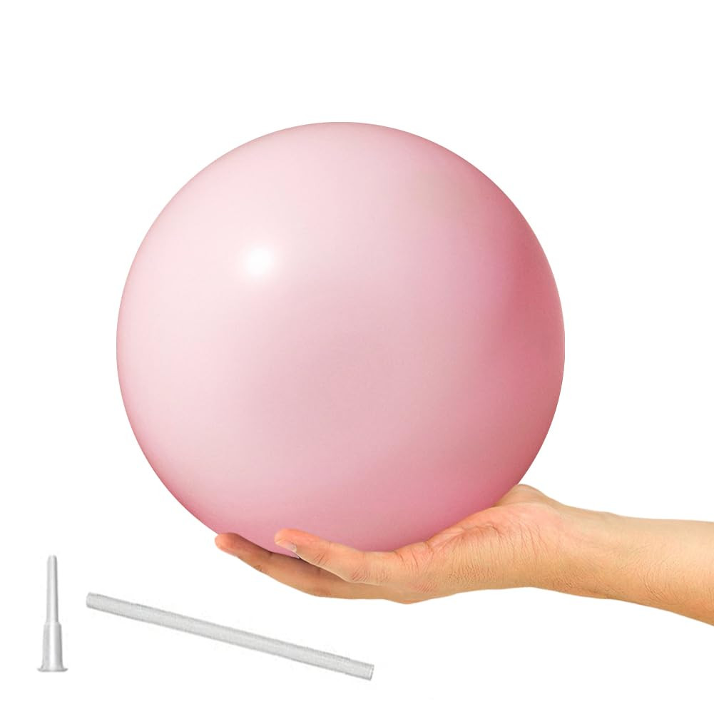 9 Inch Exercise Pilates Ball Mini Exercise Barre Ball for Yoga,Stability Exercise Training Gym An... | Amazon (US)