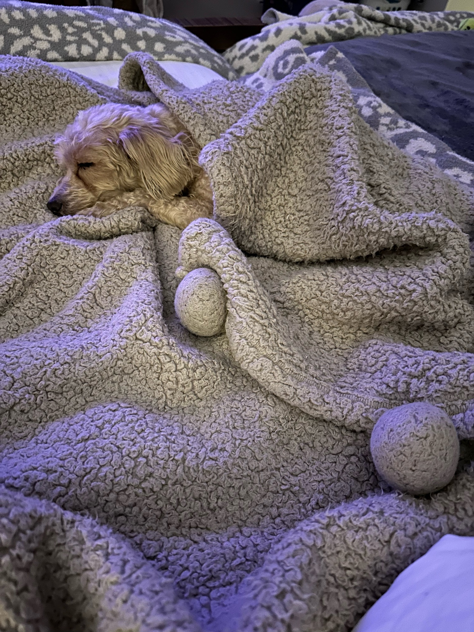 Fave Amazon, throw

#LTKHome