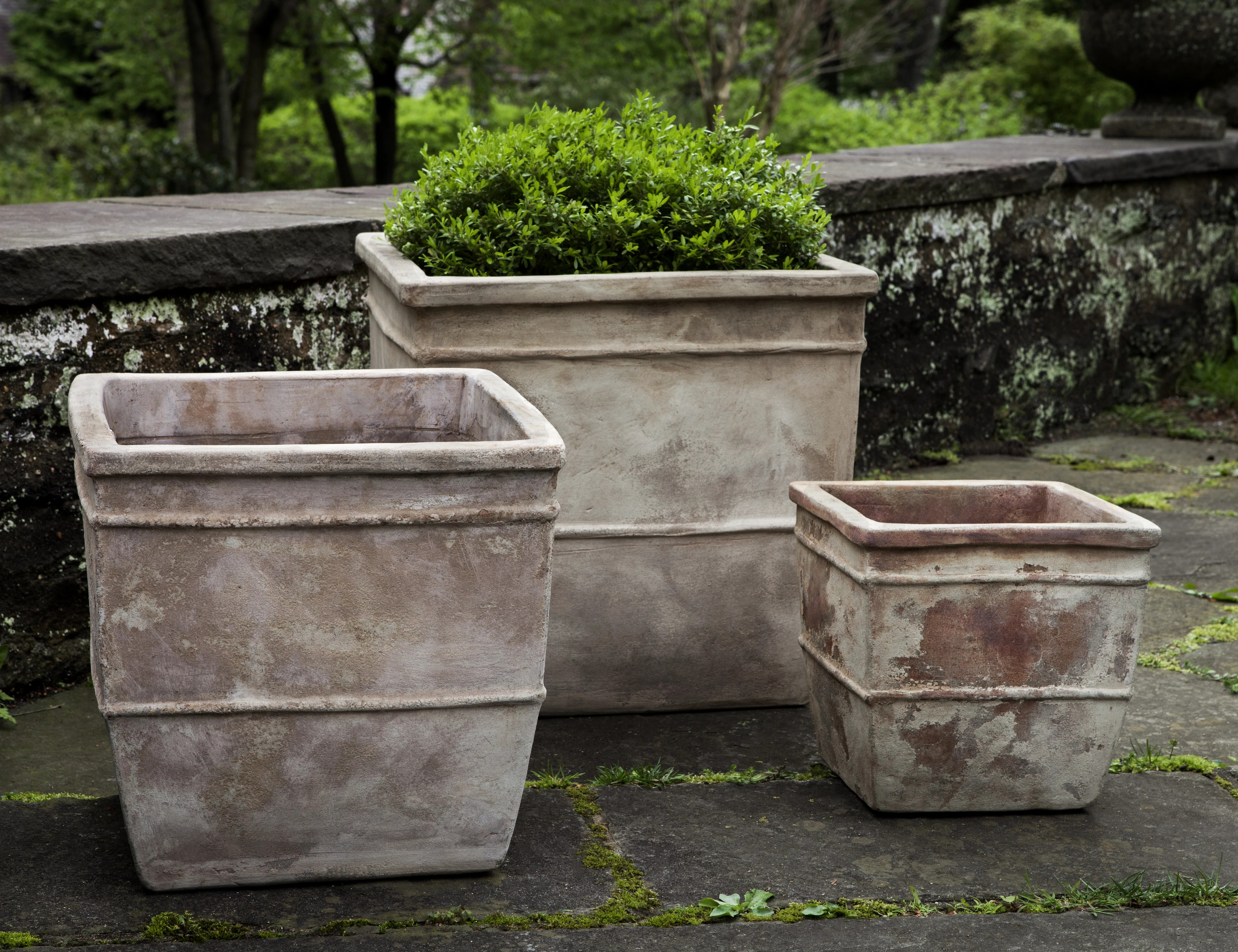 Williston Forge Jacksen 3-Piece Terracotta Pot Planter Set | Wayfair | Wayfair North America