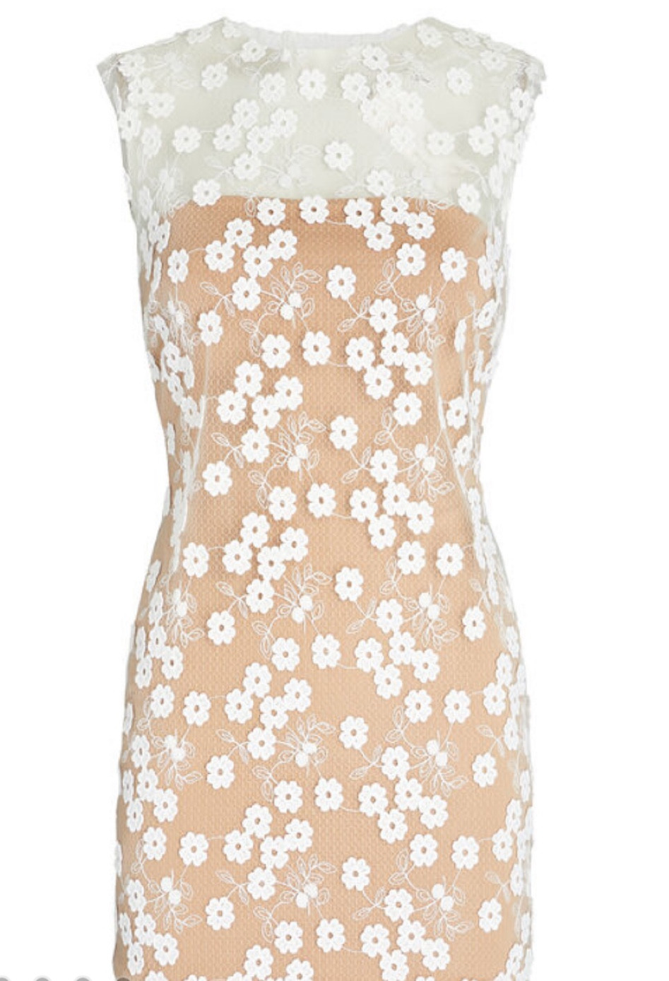 Graduation dresses & bridal party dresses!

#LTKBacktoSchool #LTKunder100 #LTKsalealert