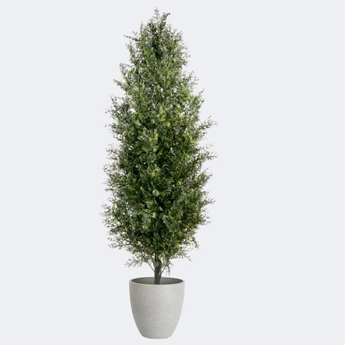 Artificial Cypress Trees & Resin Round Plant Pots with Tray | Wayfair North America