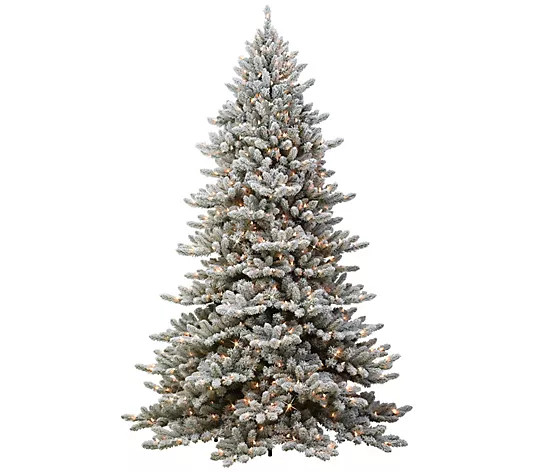 7.5' Royal Majestic Fraser Fir Flocked Tree w/600 Lights | QVC