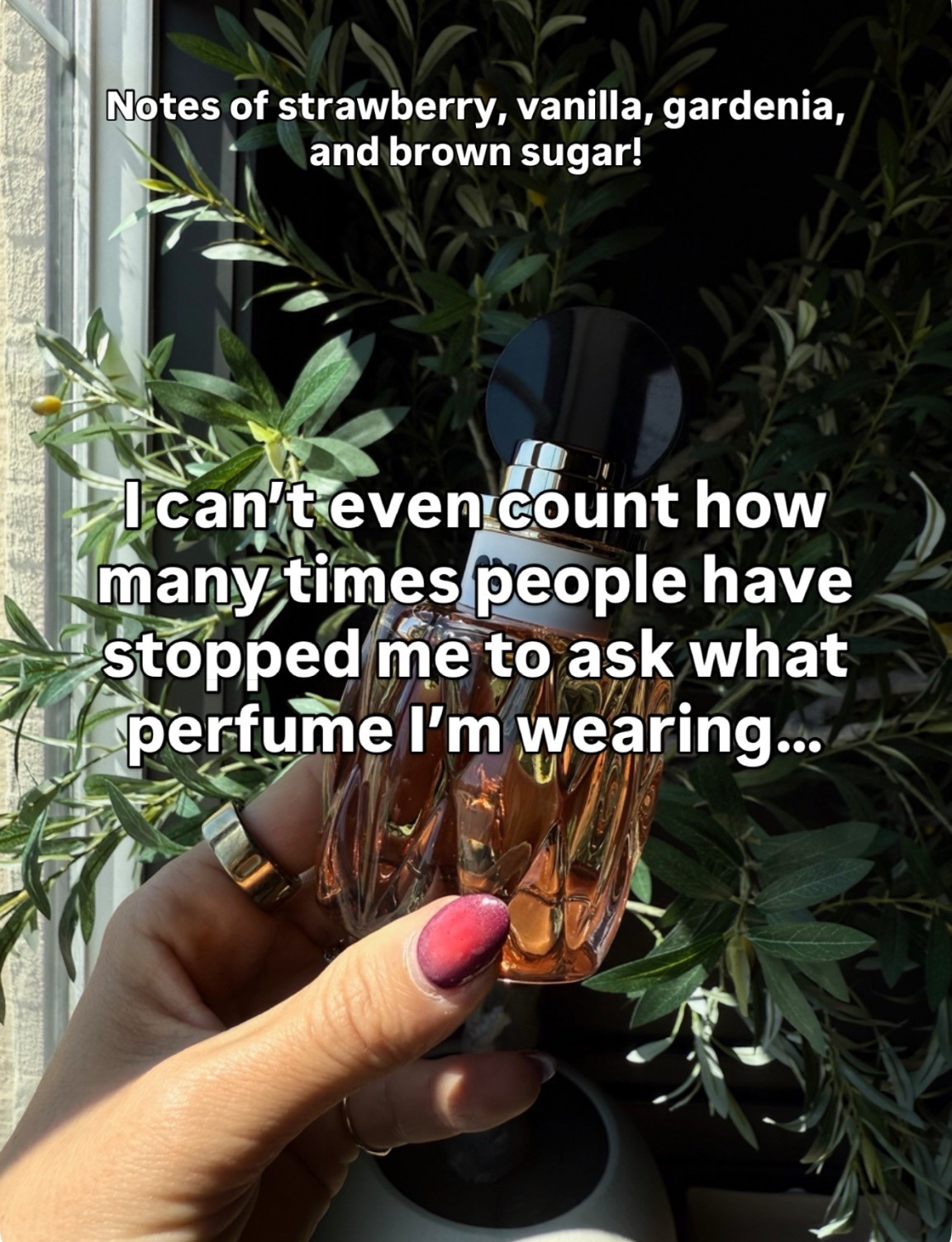 use code SPRINGSALE at checkout!