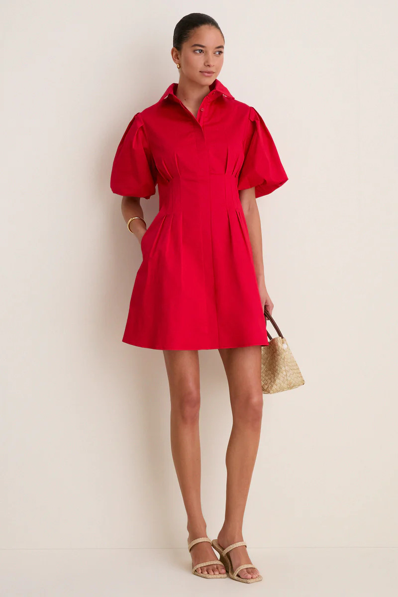 Red Mini Delaney Dress | Tuckernuck (US)
