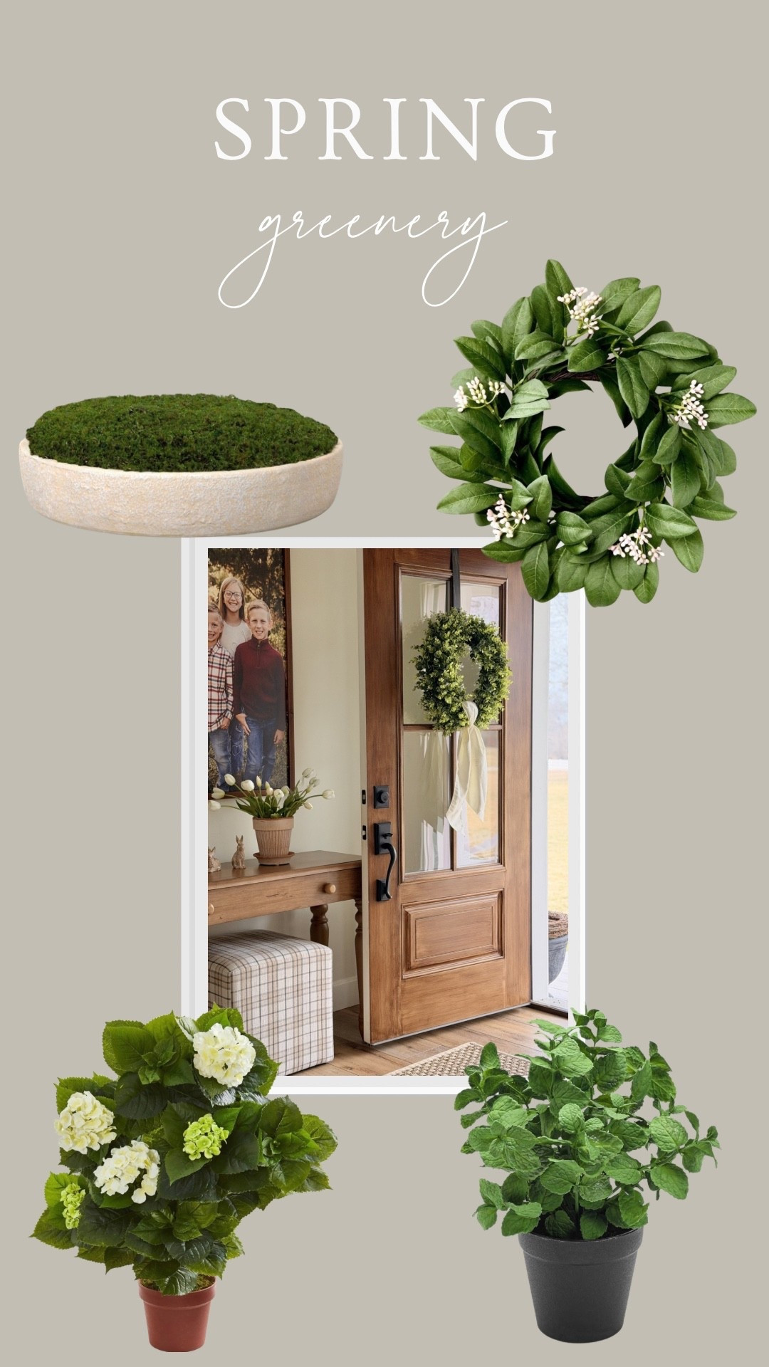 Spring is the perfect time for lots of pretty greenery🌿

#LTKSeasonal #LTKHome