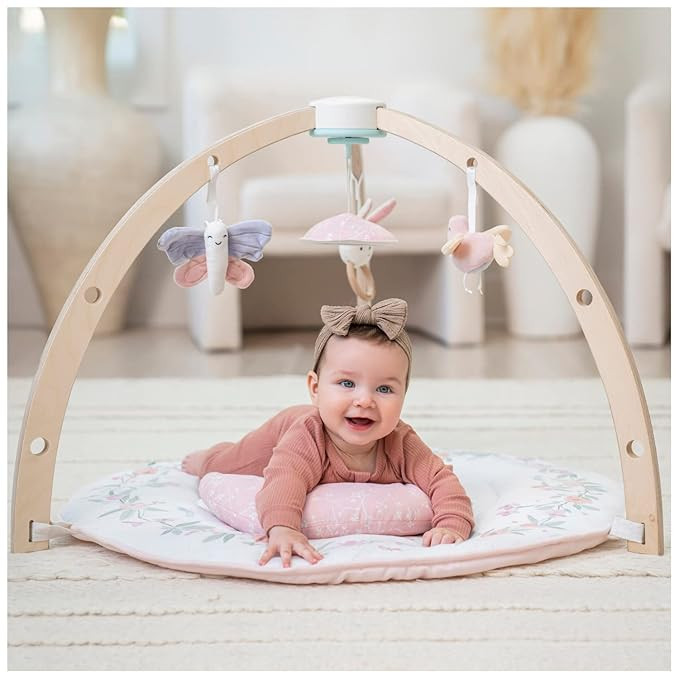 aden + anais Play and Discover Baby Activity Gym – 30+ Developmental Benefits - 3 Attachable To... | Amazon (US)