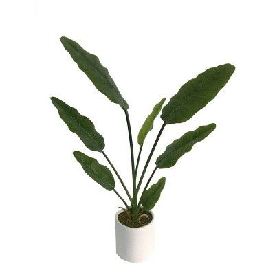 2.2' Artificial Banana Tree in Pot White - Project 62™ | Target