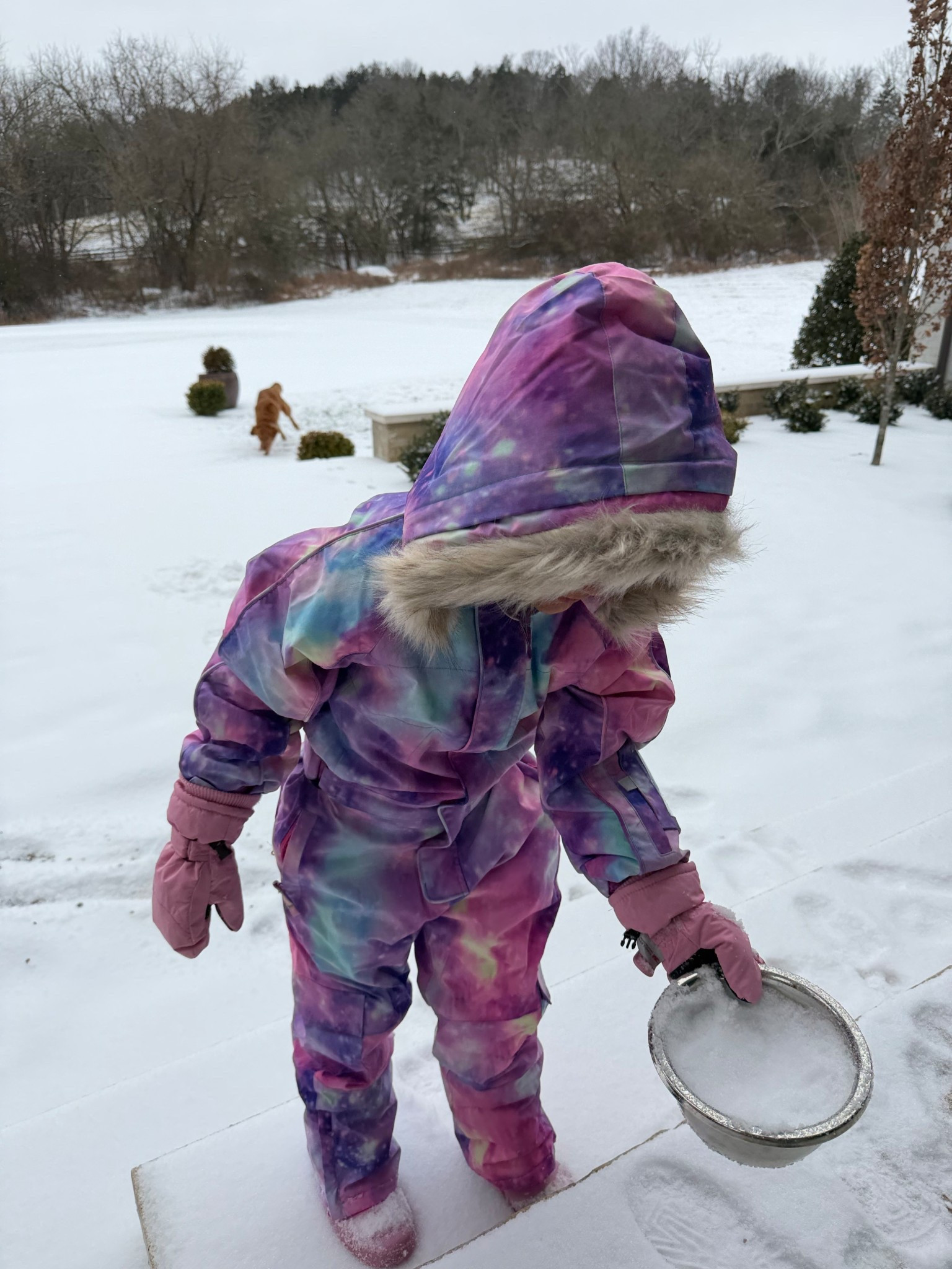 Ordered Rosie snowsuit last minute on Amazon and she was so excited about it🥹

Dressupbuttercup.com #dressupbuttercup #dederaad


#LTKmomlife #LTKKids #LTKdayinmylife