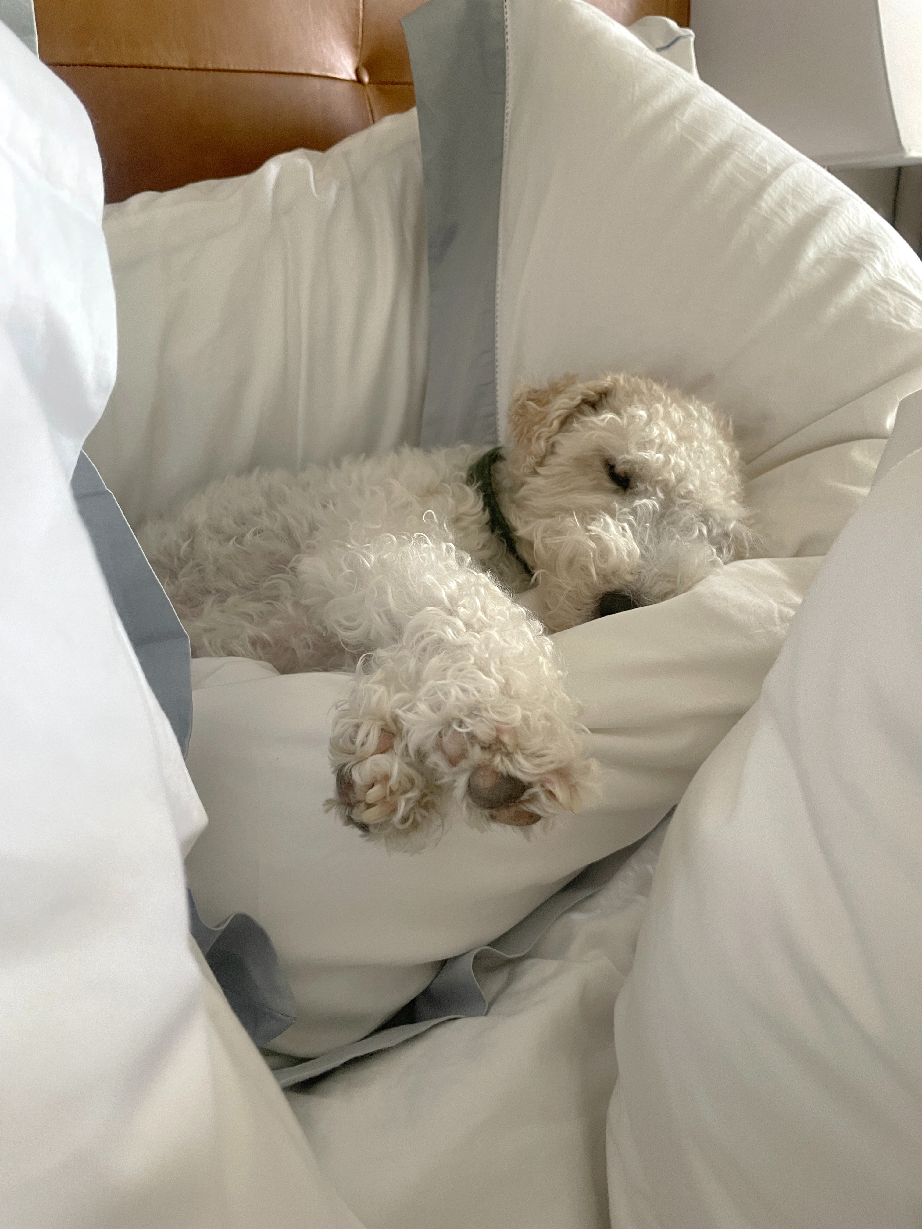 Classic and cozy bedding picks... these are perfect year round! 

 

#LTKHome