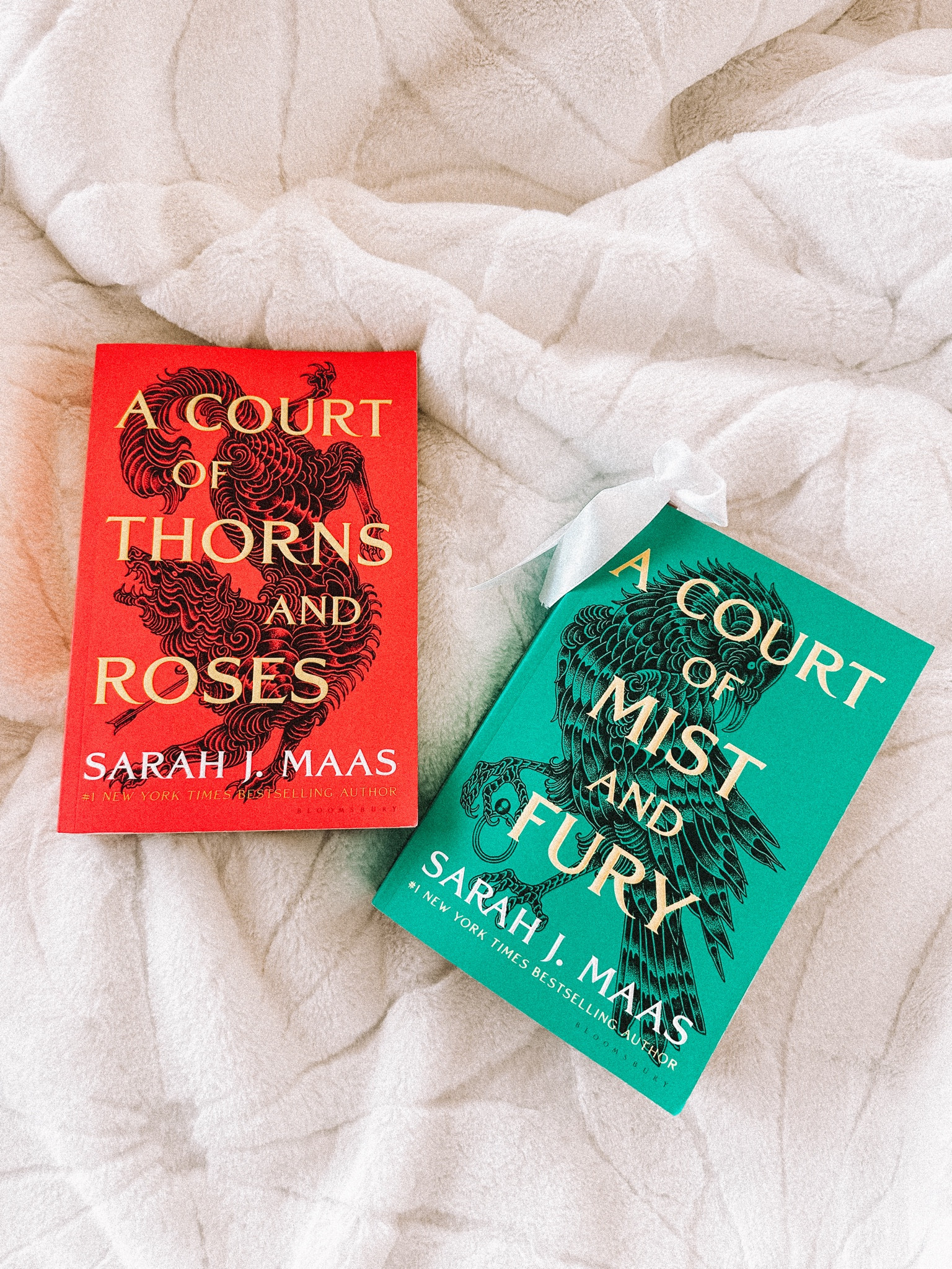 BOOK SERIES 📚 currently reading the ACOTAR series and ya’ll i didn’t expect to love it as much as i do. use the links below to get a better price!

#LTKfindsunder50 #LTKsalealert