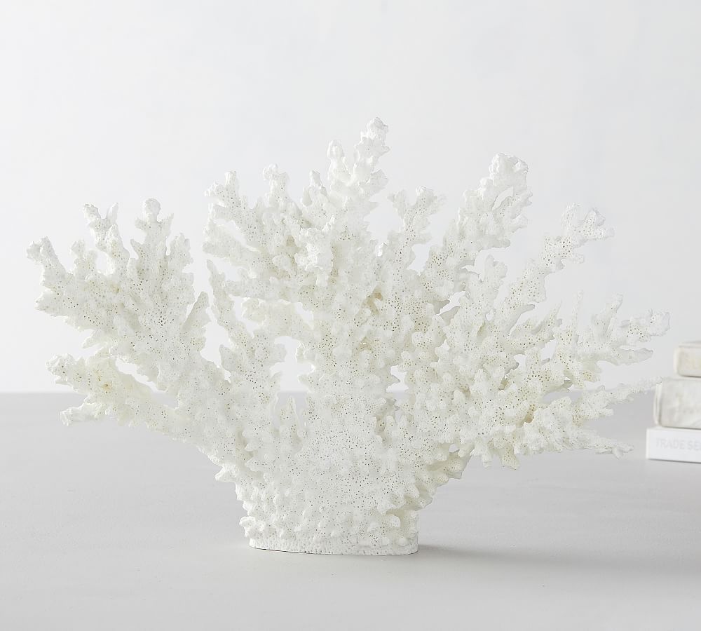 Faux White Spike Coral | Pottery Barn (US)