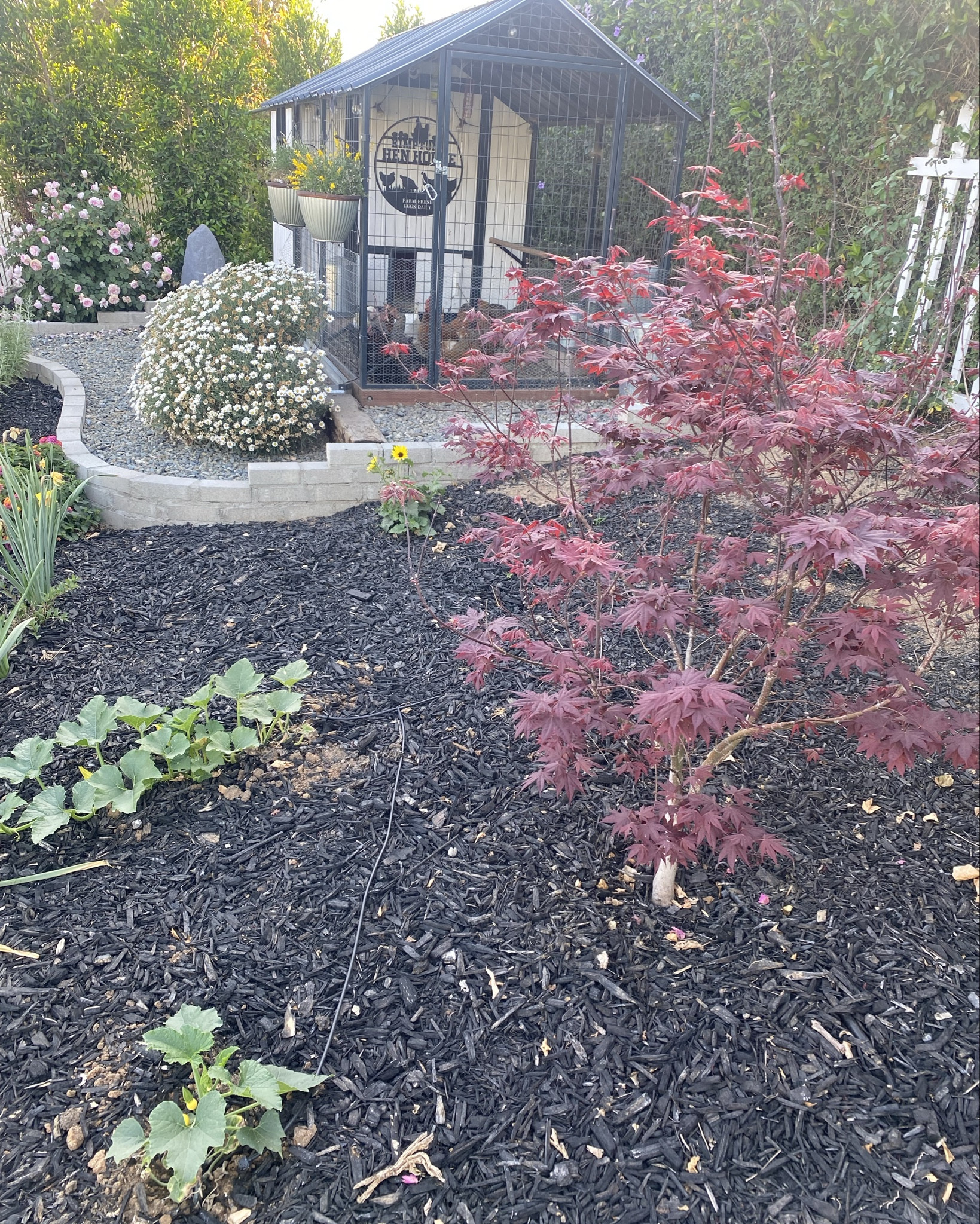 Shop a few of my landscaping favorites. 