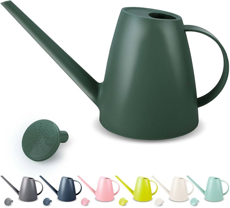 Qilebi Watering Can for Indoor Plants, Small Watering Cans for House Plant Garden Flower, Long Sp... | Amazon (US)