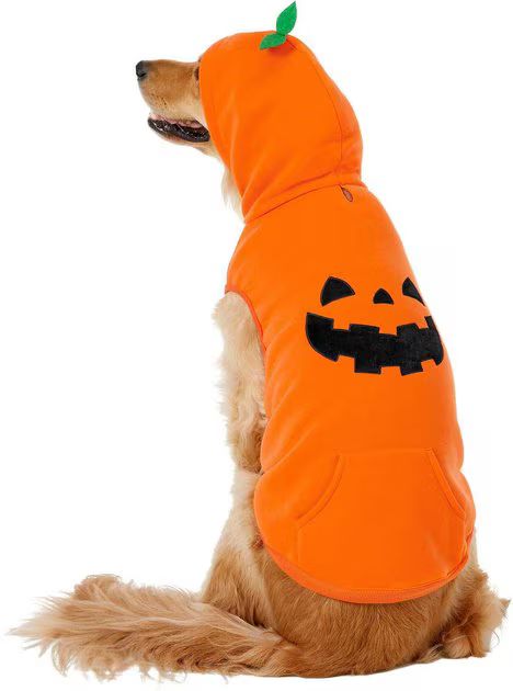 FRISCO Jack O' Lantern Pumpkin Dog & Cat Hoodie, XX-Large - Chewy.com | Chewy.com