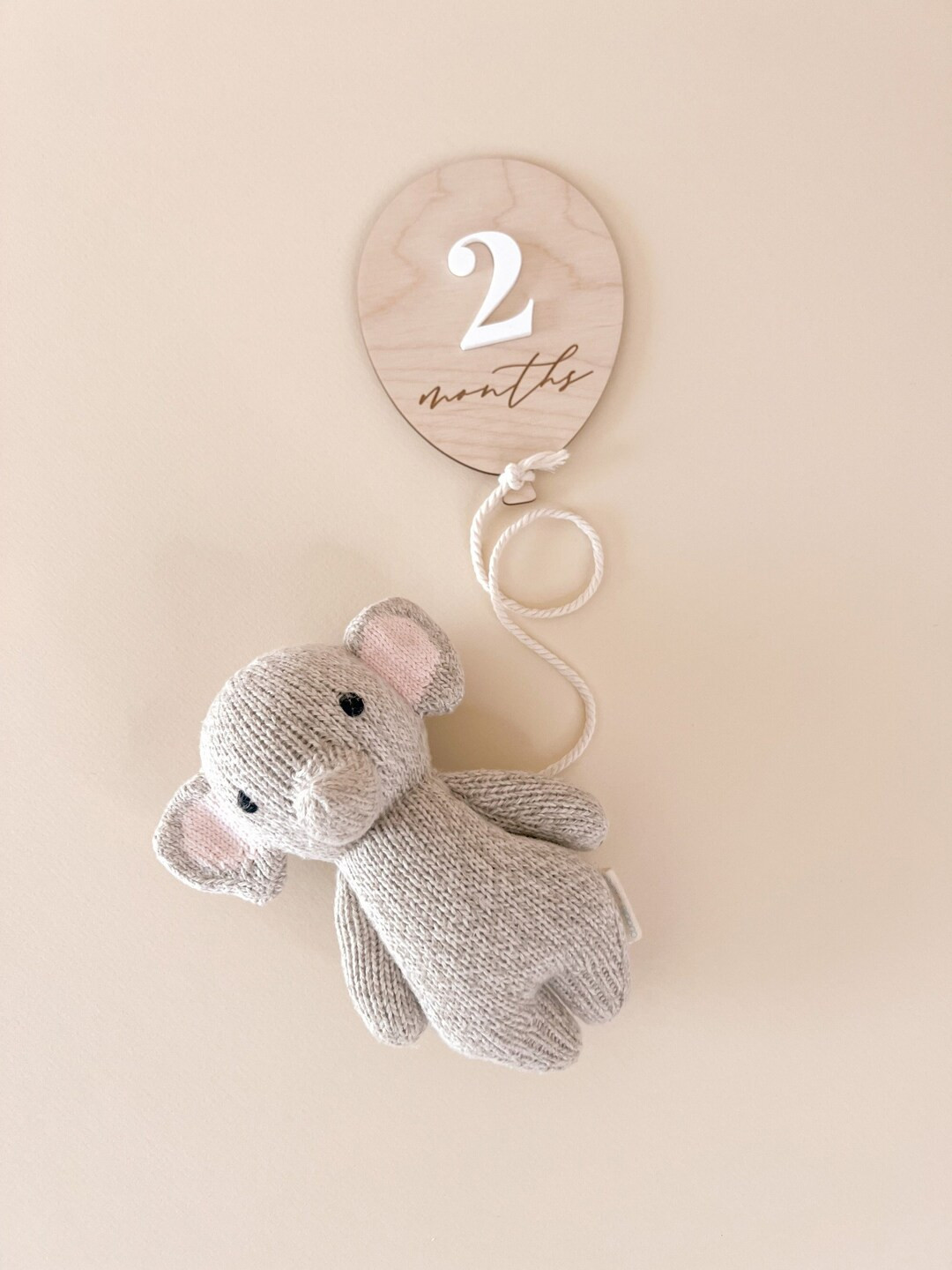 Balloon Milestone Markers Baby Monthly Milestone Signs Wood Milestone Cards Modern Minimal Neutra... | Etsy (US)