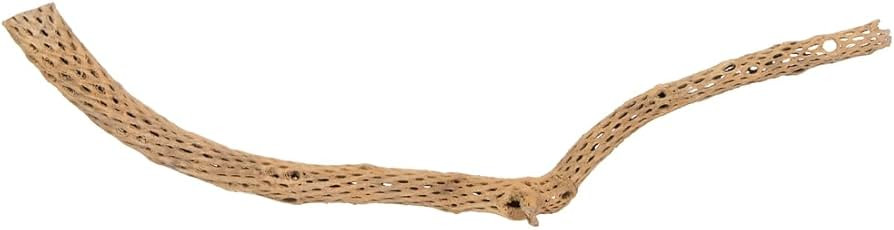 Vickerman CHOLLA, Natural, 42-47" Piece, Dried | Amazon (US)