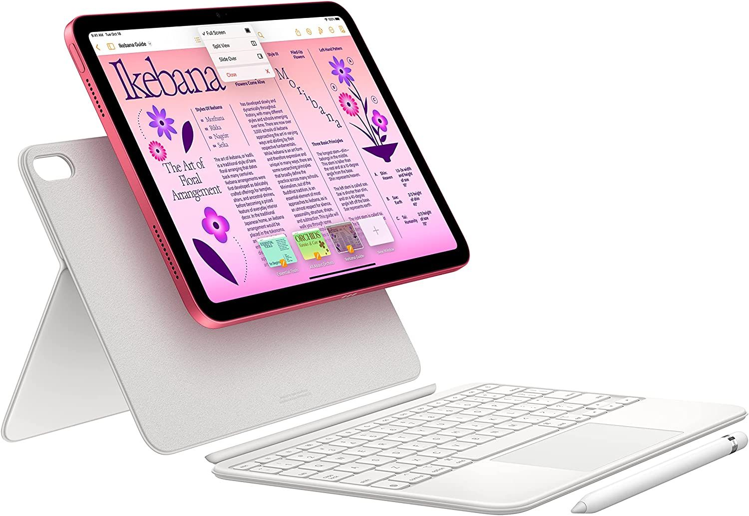 Apple 2022 10.9-inch iPad (Wi-Fi, 64GB) - Silver (10th Generation) | Amazon (US)