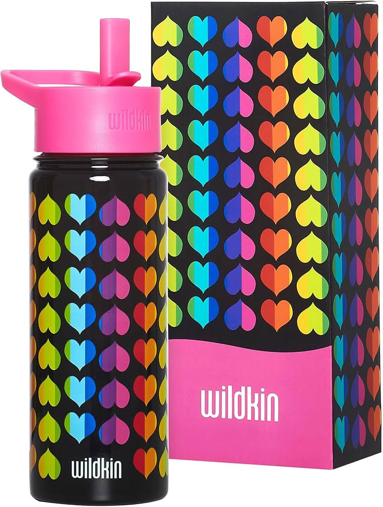Wildkin Kids 18 oz Reusable BPA-Free Stainless Steel Water Bottle with Leak Proof Lid for Boys & ... | Amazon (US)