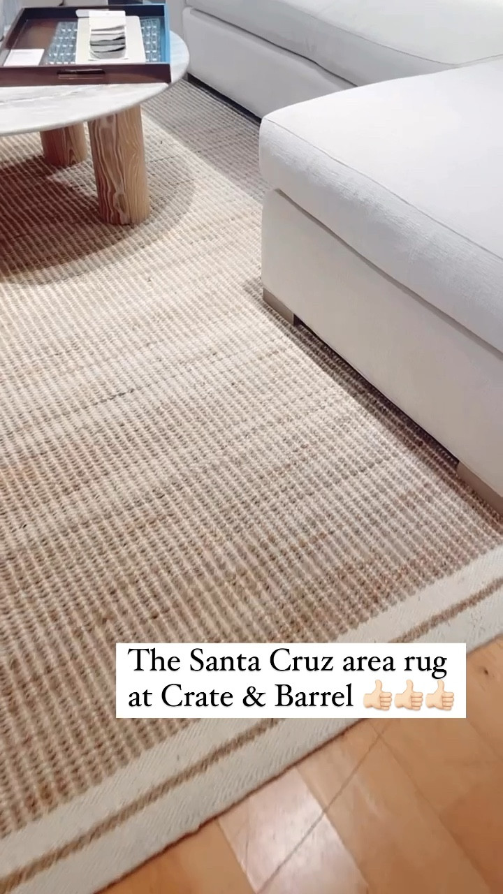 Close-up of the Santa Cruz area rug at Crate & Barrel. It’s very pretty and I’m considering it an option for my living room. 

It comes in two color options and this is the white boarder. 

#arearug #diningroom #livingroom 

#LTKStyleTip #LTKVideo #LTKHome