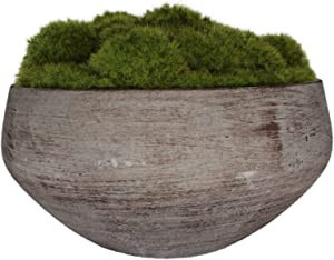 MD MACOMINE DESIGN Moss Bowl | Artificial | Hand-Painted Cement Bowl | Centerpiece | Home Décor ... | Amazon (US)