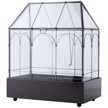 Large Tall Plant Terrarium Glass – Glass Greenhouse Terrarium with Lid and Tray Indoor Tabletop Orch | Walmart (US)