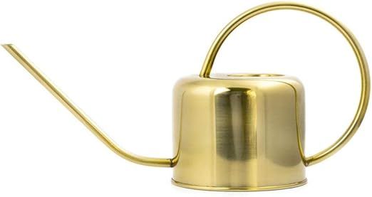 Kikkerland WC01 Vintage Watering Can | Amazon (CA)