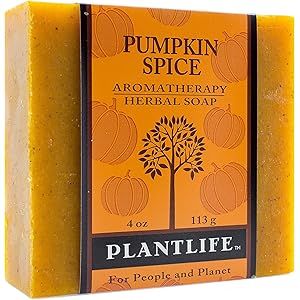 Plantlife Pumpkin Spice Aromatherapy Herbal Soap with Natural Ingredients - Handmade in USA - 4 o... | Amazon (US)