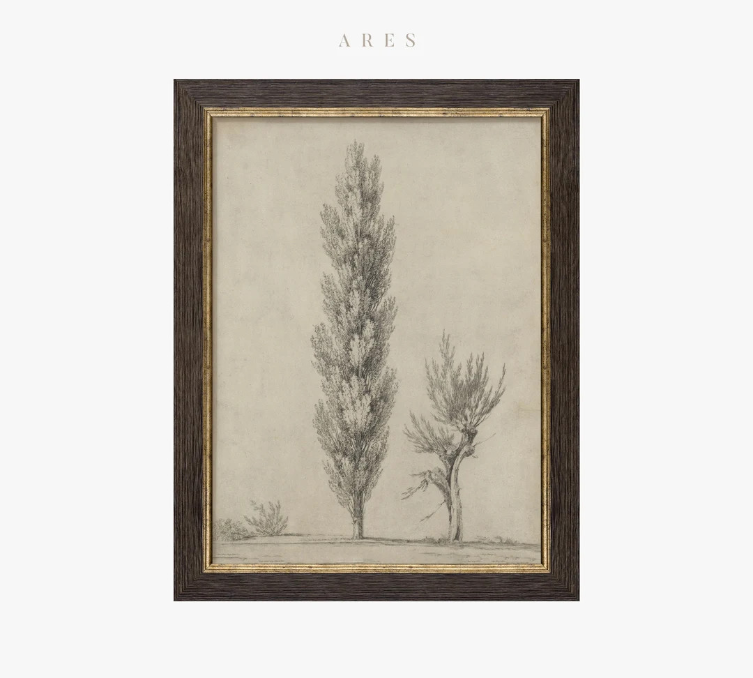 Vintage Art Framed | Beige Tree Drawing Print | Antique Tree Etching Wall Art | Rustic Neutral Sk... | Etsy (US)