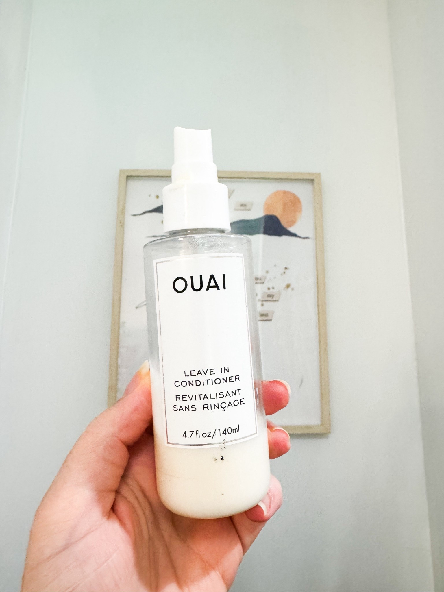 Leave in hair conditioner 