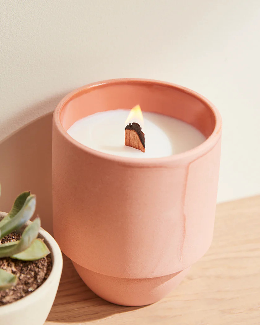 Parks Candle: Cactus Flower & Fern | UpWest