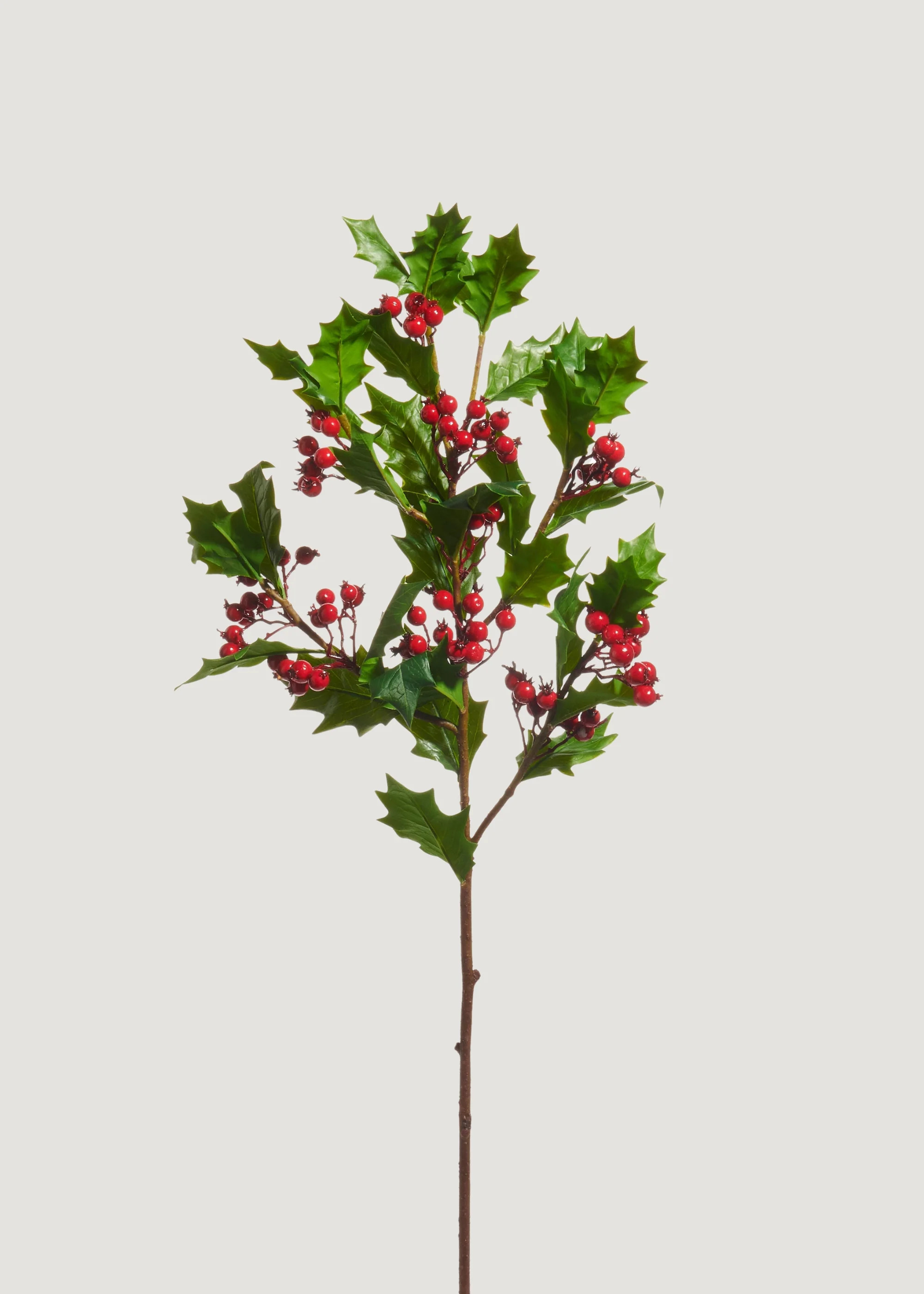 Artificial Holly Branch | Premium Fake Holiday Greenery | Afloral | Afloral