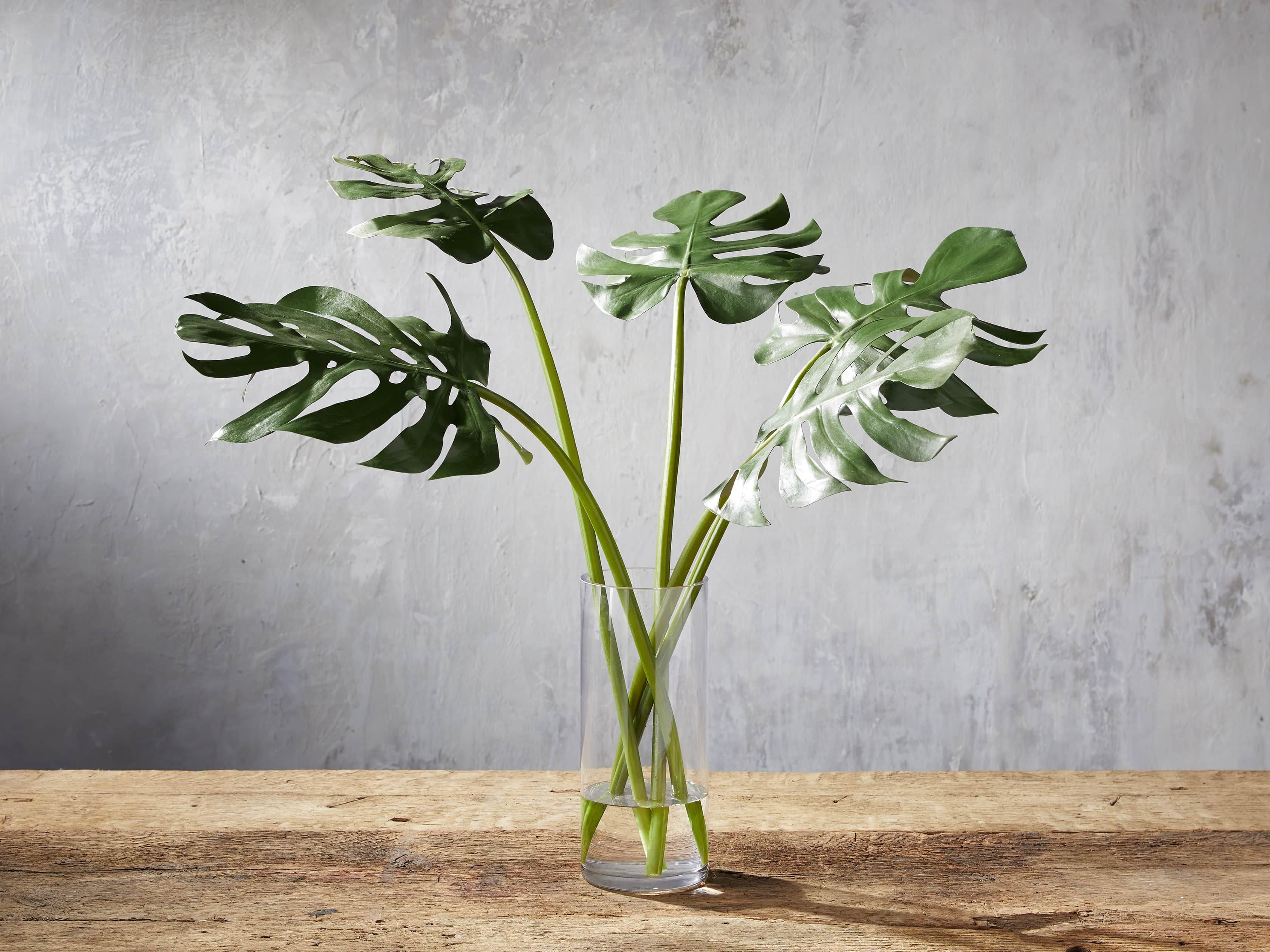 Faux Calla Leaf in Small Vase | Arhaus