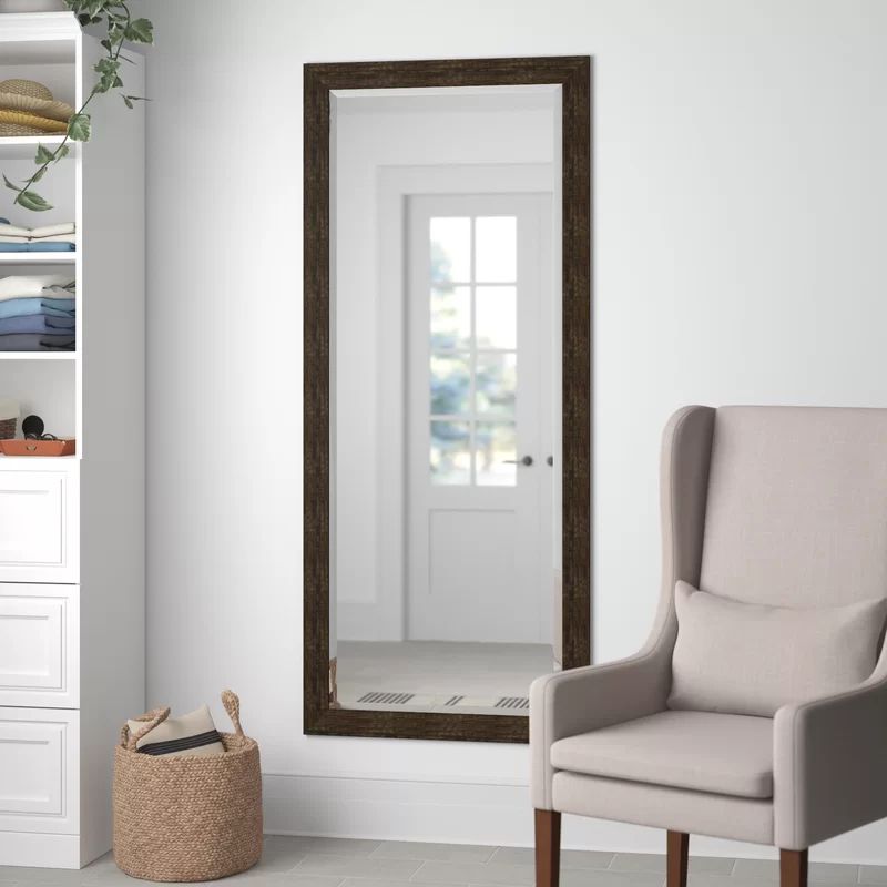 Adelyn Classic Extra Tall Accent Mirror | Wayfair North America