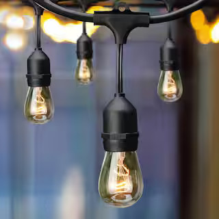 12-Light 24 ft. Indoor/Outdoor Plug-In Incandescent Edison Bulb String Light | The Home Depot