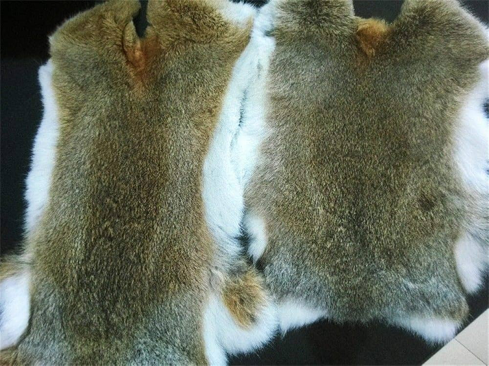2pcs Natural Tanned Rabbit Hide Skin (12" by 14" Rabbit Pelt with Sewing Quality Leather) | Amazon (US)
