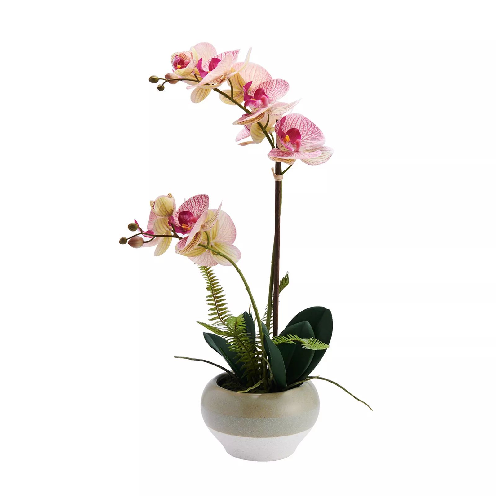 Mikasa Artificial Pink Orchid Plant | Kohl's