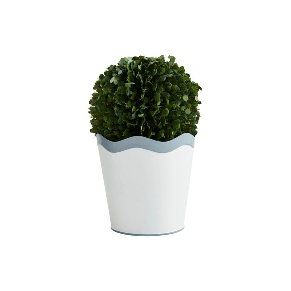 Large Scalloped Boxwood Pot | Mud Pie