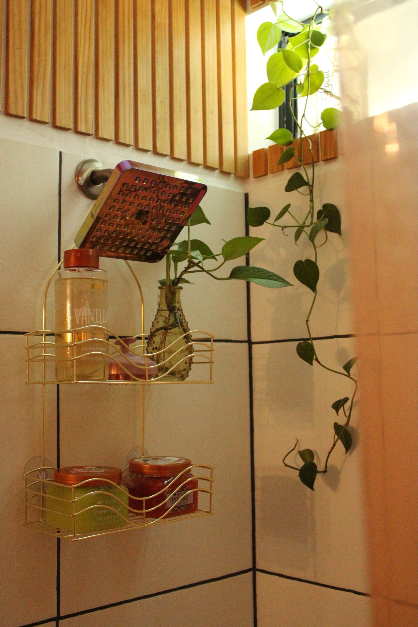 #LTKHome #LTKBacktoSchool