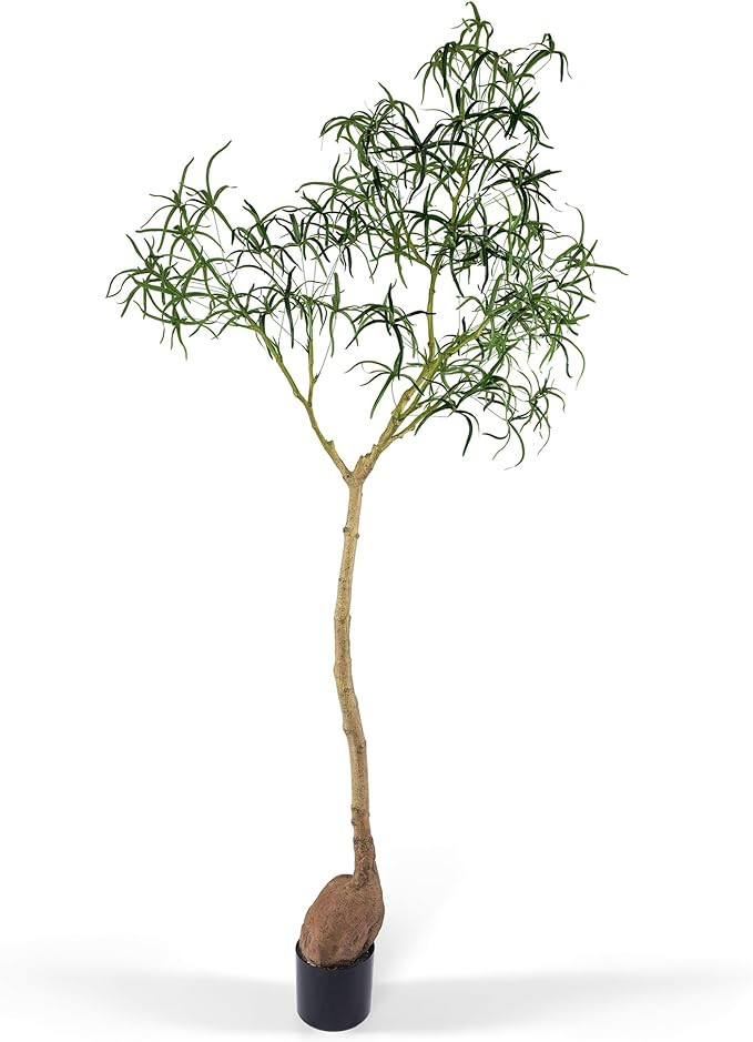 Everleaf 6.5FT Queensland Bottle Tree, Sculptural Faux Tree for Japandi & Wabi-Sabi Interiors, Pr... | Amazon (US)