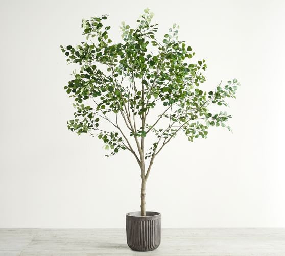 Faux Shady Lady Olive Tree - 8ft. | Pottery Barn (US)