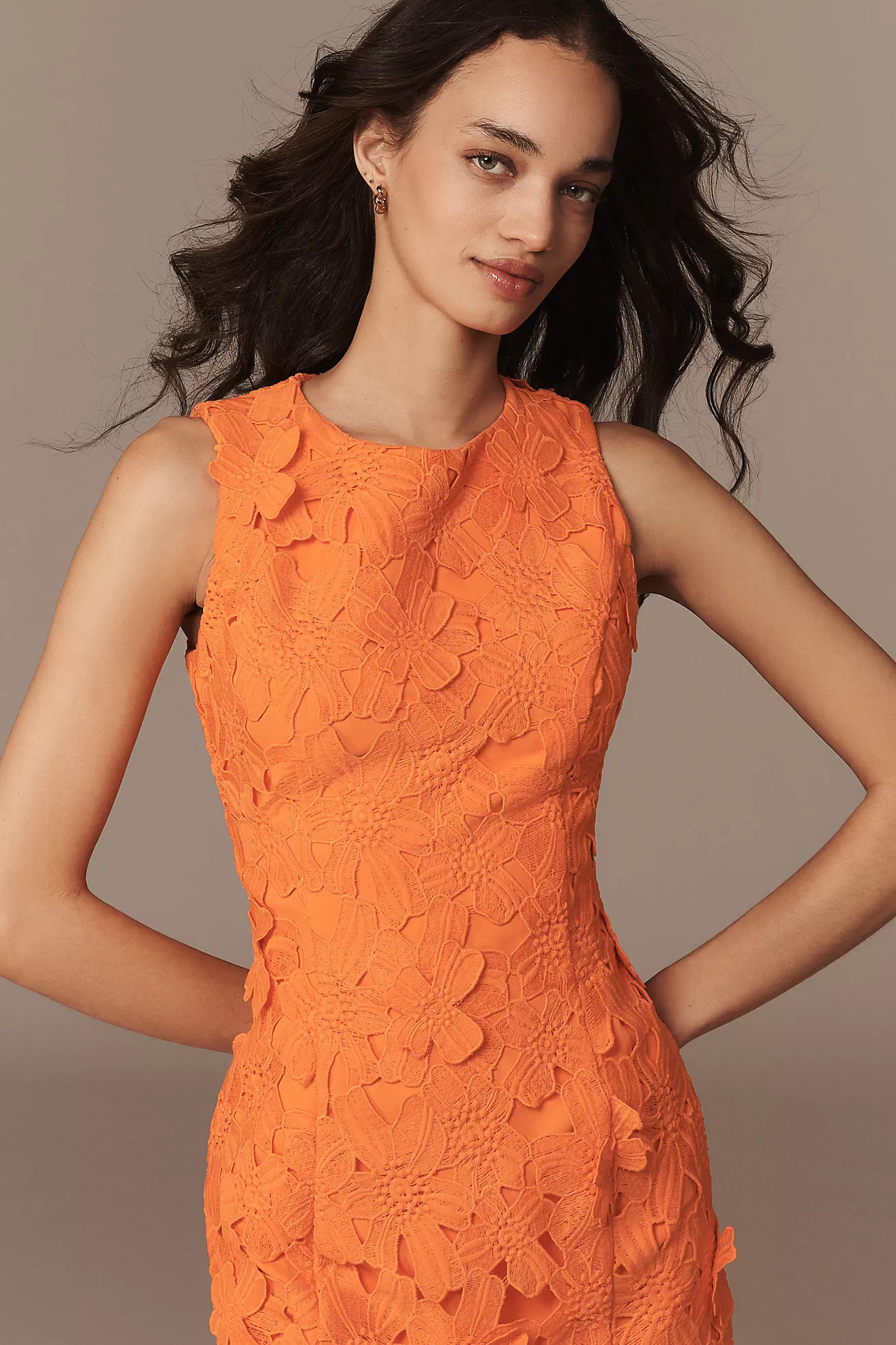 Endless Rose Floral Lace Mini Dress | Anthropologie (US)