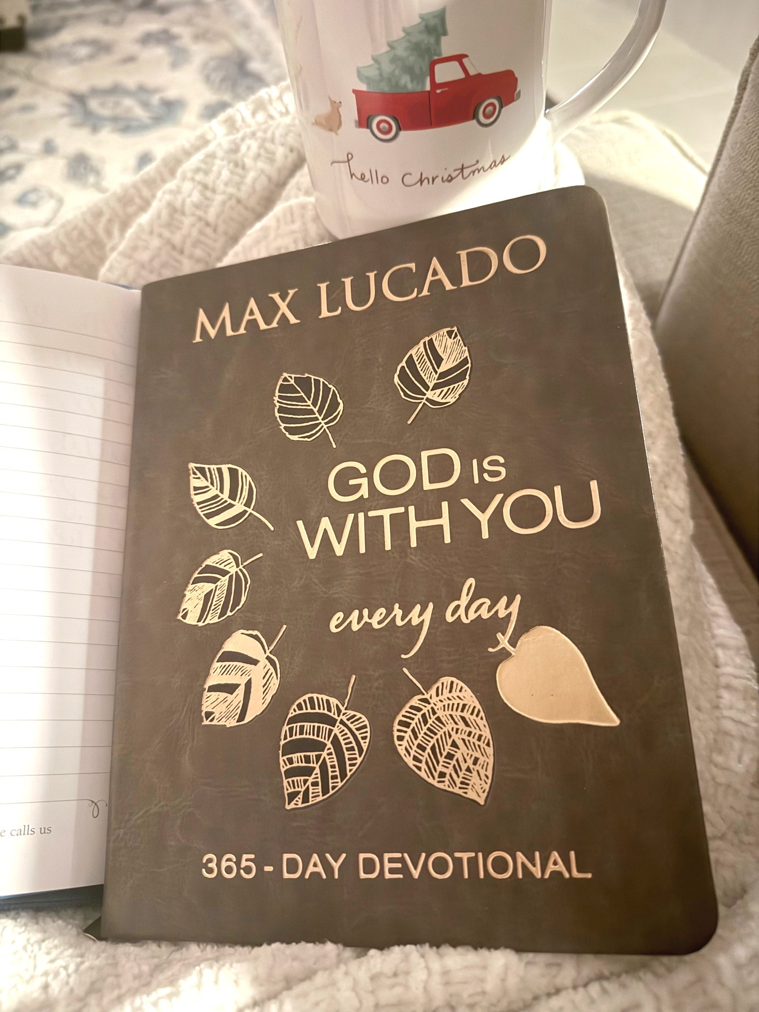 God is with you every day by Max Lucado 365 day devotional 

#LTKHome #LTKGiftGuide #LTKdayinmylife