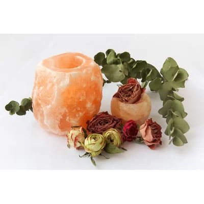 Bungalow Rose Natural Himalayan Salt Tealight Holder | Wayfair | Wayfair North America