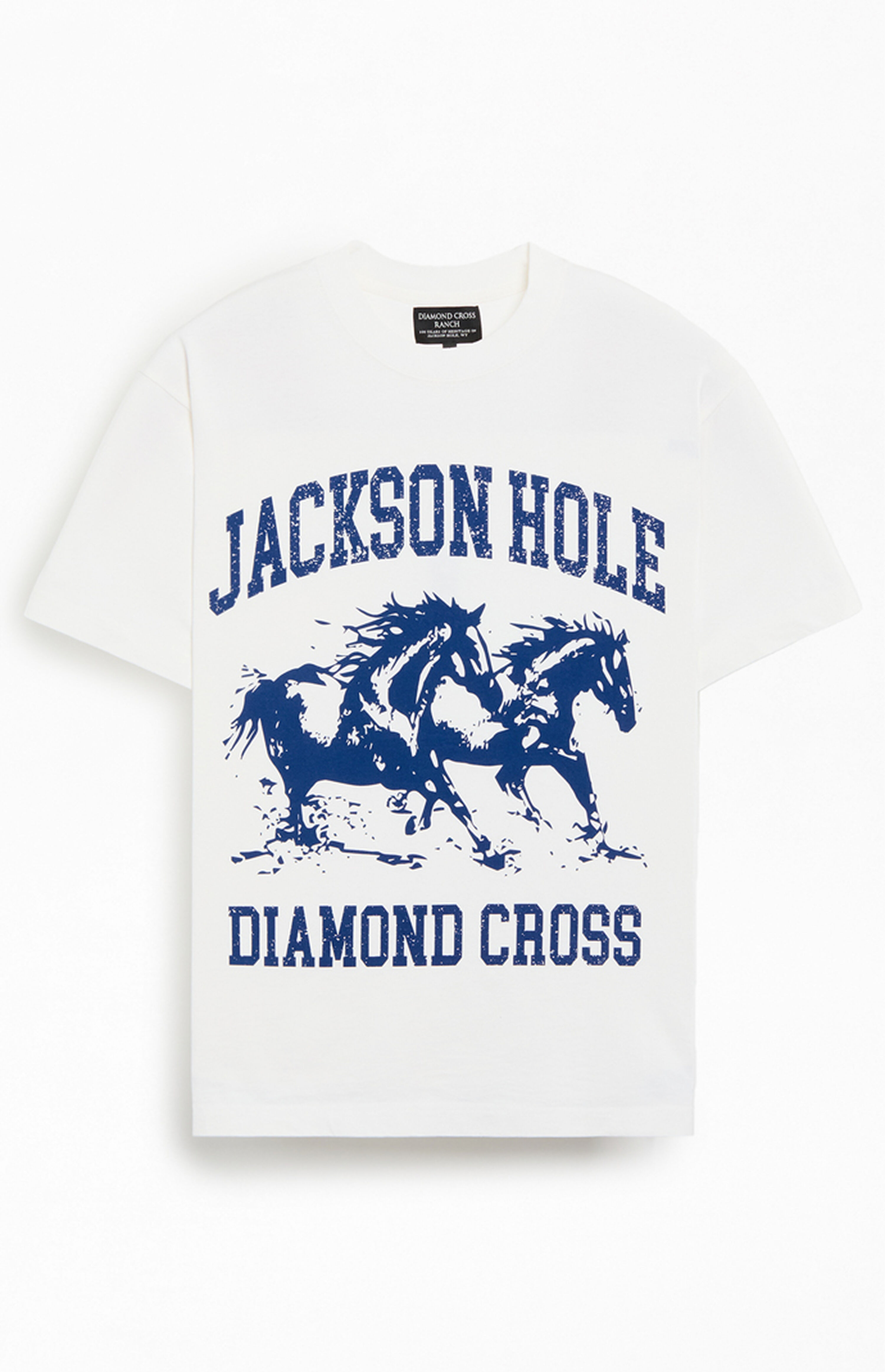 Diamond Cross Ranch Jackson Hole T-Shirt | PacSun