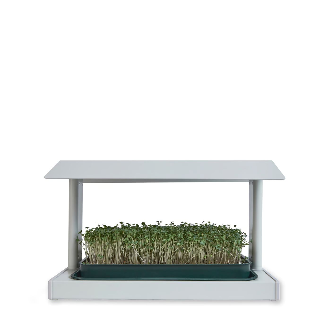 leath The Fieldhouse Microgreen Grow System | goop | goop